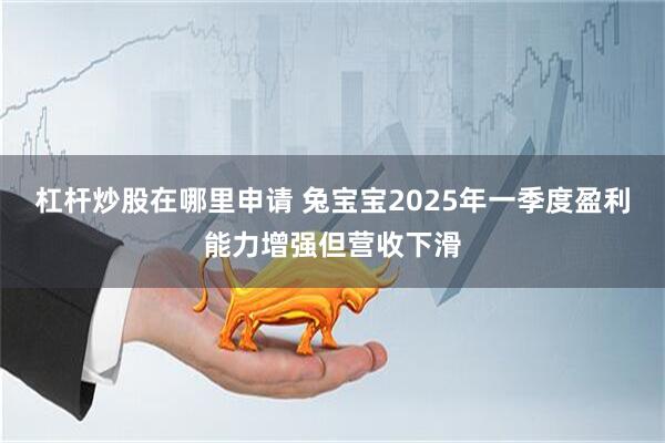 杠桿炒股在哪里申請(qǐng) 兔寶寶2025年一季度盈利能力增強(qiáng)但營(yíng)收下滑